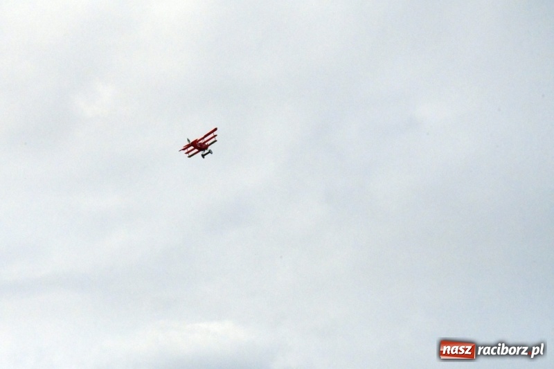 Zdjęcie w galerii na portalu naszraciborz.pl: XI Międzynarodowy Raciborski Piknik Modelarski zgomadził nad Ulgą tłumy. FOTO i WIDEO wiadomości z regionu