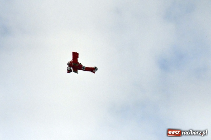 Zdjęcie w galerii na portalu naszraciborz.pl: XI Międzynarodowy Raciborski Piknik Modelarski zgomadził nad Ulgą tłumy. FOTO i WIDEO wiadomości z regionu