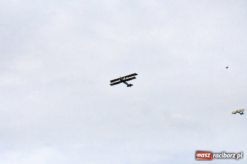 Zdjęcie w galerii na portalu naszraciborz.pl: XI Międzynarodowy Raciborski Piknik Modelarski zgomadził nad Ulgą tłumy. FOTO i WIDEO wiadomości z regionu