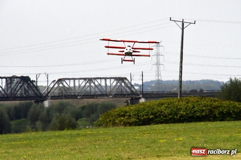 Zdjęcie w galerii na portalu naszraciborz.pl: XI Międzynarodowy Raciborski Piknik Modelarski zgomadził nad Ulgą tłumy. FOTO i WIDEO wiadomości z regionu
