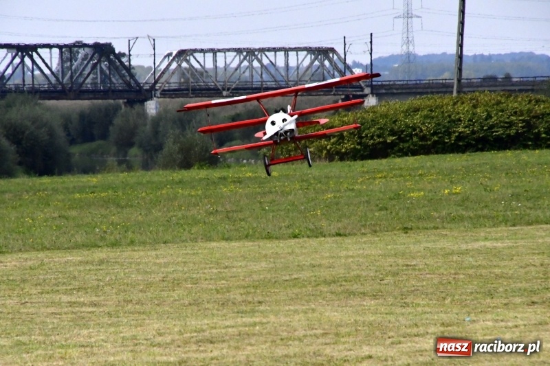 Zdjęcie w galerii na portalu naszraciborz.pl: XI Międzynarodowy Raciborski Piknik Modelarski zgomadził nad Ulgą tłumy. FOTO i WIDEO wiadomości z regionu