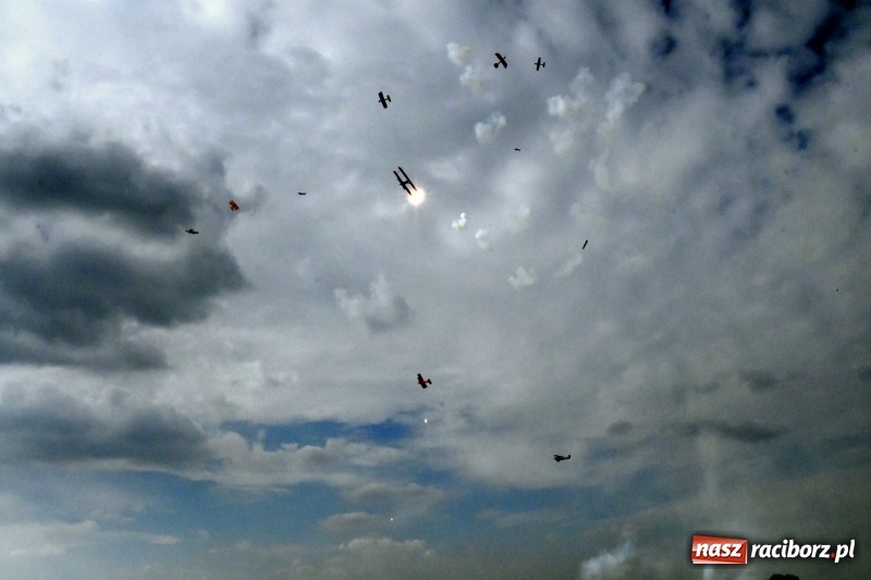 Zdjęcie w galerii na portalu naszraciborz.pl: XI Międzynarodowy Raciborski Piknik Modelarski zgomadził nad Ulgą tłumy. FOTO i WIDEO wiadomości z regionu