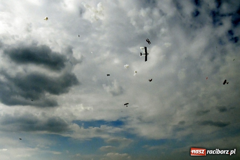 Zdjęcie w galerii na portalu naszraciborz.pl: XI Międzynarodowy Raciborski Piknik Modelarski zgomadził nad Ulgą tłumy. FOTO i WIDEO wiadomości z regionu