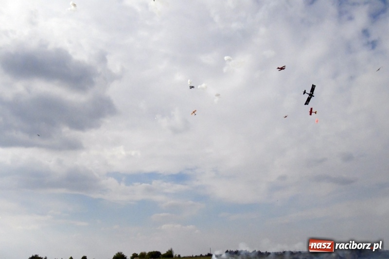 Zdjęcie w galerii na portalu naszraciborz.pl: XI Międzynarodowy Raciborski Piknik Modelarski zgomadził nad Ulgą tłumy. FOTO i WIDEO wiadomości z regionu