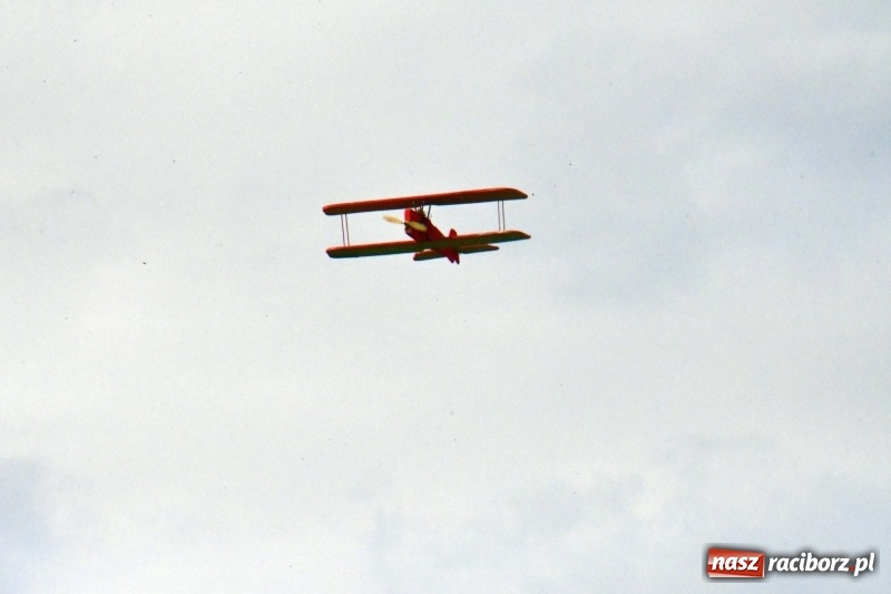 Zdjęcie w galerii na portalu naszraciborz.pl: XI Międzynarodowy Raciborski Piknik Modelarski zgomadził nad Ulgą tłumy. FOTO i WIDEO wiadomości z regionu