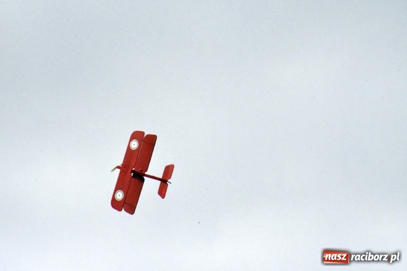 Zdjęcie w galerii na portalu naszraciborz.pl: XI Międzynarodowy Raciborski Piknik Modelarski zgomadził nad Ulgą tłumy. FOTO i WIDEO wiadomości z regionu