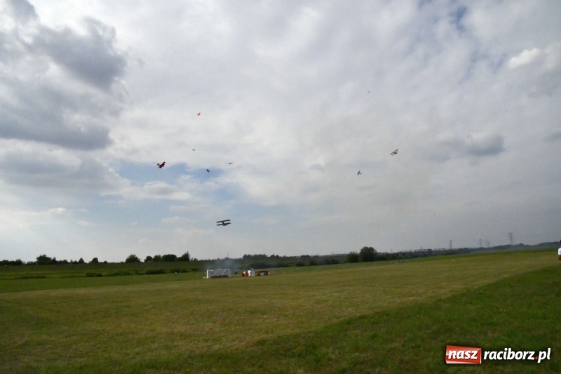 Zdjęcie w galerii na portalu naszraciborz.pl: XI Międzynarodowy Raciborski Piknik Modelarski zgomadził nad Ulgą tłumy. FOTO i WIDEO wiadomości z regionu