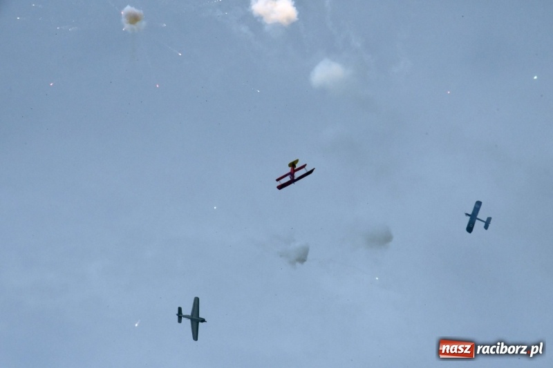 Zdjęcie w galerii na portalu naszraciborz.pl: XI Międzynarodowy Raciborski Piknik Modelarski zgomadził nad Ulgą tłumy. FOTO i WIDEO wiadomości z regionu