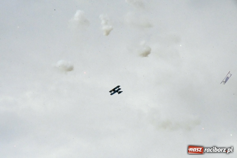 Zdjęcie w galerii na portalu naszraciborz.pl: XI Międzynarodowy Raciborski Piknik Modelarski zgomadził nad Ulgą tłumy. FOTO i WIDEO wiadomości z regionu