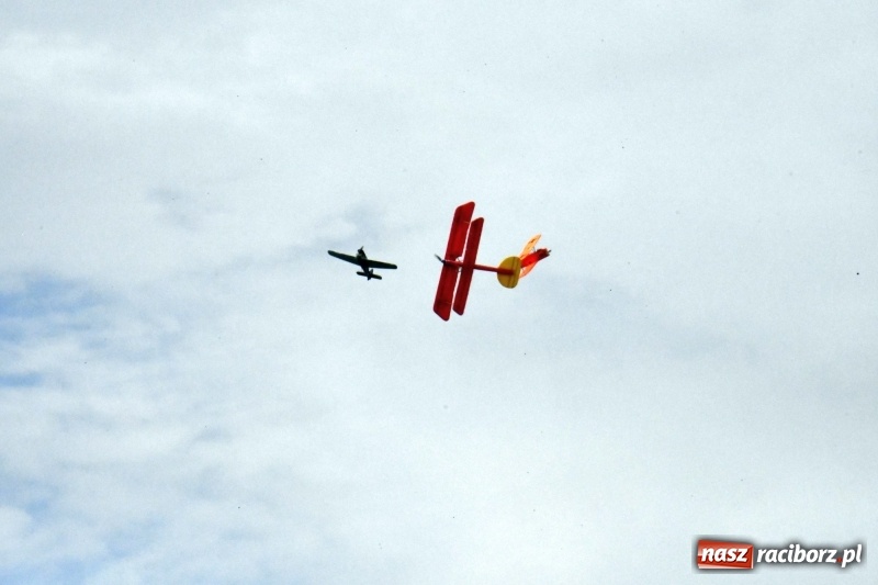 Zdjęcie w galerii na portalu naszraciborz.pl: XI Międzynarodowy Raciborski Piknik Modelarski zgomadził nad Ulgą tłumy. FOTO i WIDEO wiadomości z regionu