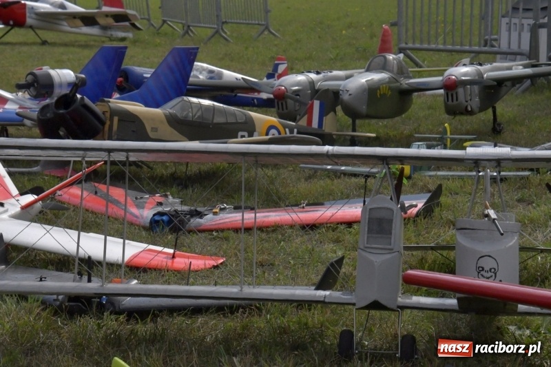 Zdjęcie w galerii na portalu naszraciborz.pl: XI Międzynarodowy Raciborski Piknik Modelarski zgomadził nad Ulgą tłumy. FOTO i WIDEO wiadomości z regionu