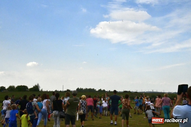 Zdjęcie w galerii na portalu naszraciborz.pl: XI Międzynarodowy Raciborski Piknik Modelarski zgomadził nad Ulgą tłumy. FOTO i WIDEO wiadomości z regionu