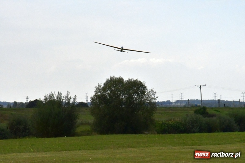 Zdjęcie w galerii na portalu naszraciborz.pl: XI Międzynarodowy Raciborski Piknik Modelarski zgomadził nad Ulgą tłumy. FOTO i WIDEO wiadomości z regionu