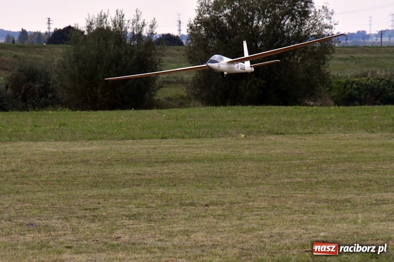 Zdjęcie w galerii na portalu naszraciborz.pl: XI Międzynarodowy Raciborski Piknik Modelarski zgomadził nad Ulgą tłumy. FOTO i WIDEO wiadomości z regionu