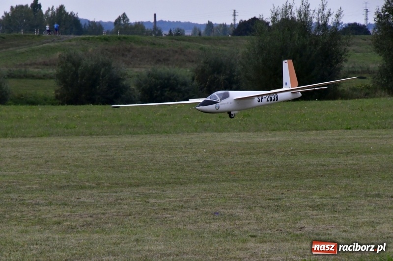 Zdjęcie w galerii na portalu naszraciborz.pl: XI Międzynarodowy Raciborski Piknik Modelarski zgomadził nad Ulgą tłumy. FOTO i WIDEO wiadomości z regionu