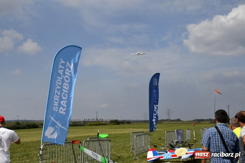 Zdjęcie w galerii na portalu naszraciborz.pl: XI Międzynarodowy Raciborski Piknik Modelarski zgomadził nad Ulgą tłumy. FOTO i WIDEO wiadomości z regionu