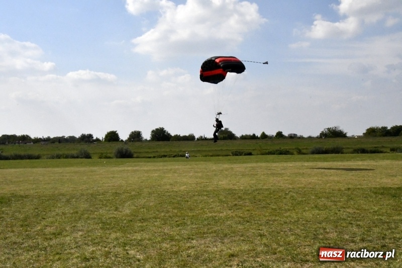 Zdjęcie w galerii na portalu naszraciborz.pl: XI Międzynarodowy Raciborski Piknik Modelarski zgomadził nad Ulgą tłumy. FOTO i WIDEO wiadomości z regionu