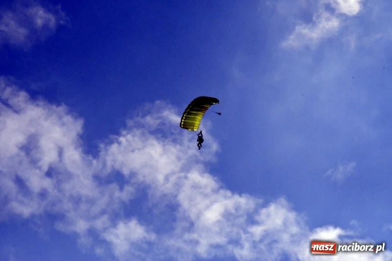 Zdjęcie w galerii na portalu naszraciborz.pl: XI Międzynarodowy Raciborski Piknik Modelarski zgomadził nad Ulgą tłumy. FOTO i WIDEO wiadomości z regionu