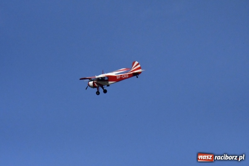 Zdjęcie w galerii na portalu naszraciborz.pl: XI Międzynarodowy Raciborski Piknik Modelarski zgomadził nad Ulgą tłumy. FOTO i WIDEO wiadomości z regionu