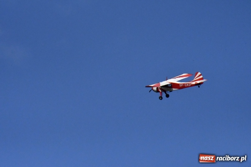 Zdjęcie w galerii na portalu naszraciborz.pl: XI Międzynarodowy Raciborski Piknik Modelarski zgomadził nad Ulgą tłumy. FOTO i WIDEO wiadomości z regionu