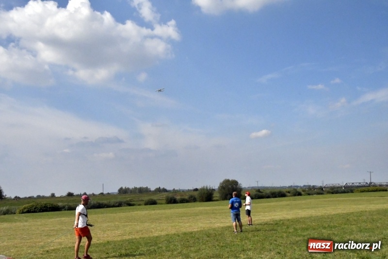 Zdjęcie w galerii na portalu naszraciborz.pl: XI Międzynarodowy Raciborski Piknik Modelarski zgomadził nad Ulgą tłumy. FOTO i WIDEO wiadomości z regionu