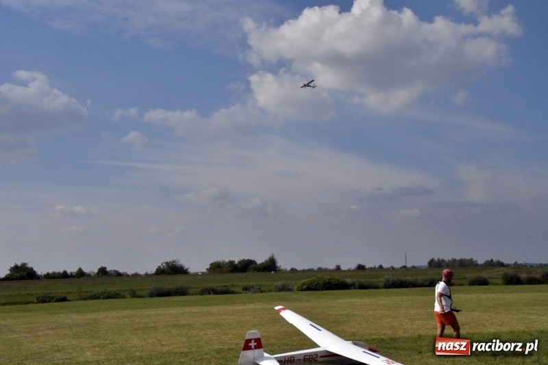 Zdjęcie w galerii na portalu naszraciborz.pl: XI Międzynarodowy Raciborski Piknik Modelarski zgomadził nad Ulgą tłumy. FOTO i WIDEO wiadomości z regionu