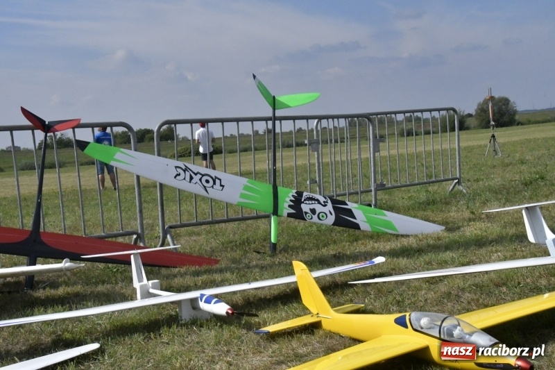 Zdjęcie w galerii na portalu naszraciborz.pl: XI Międzynarodowy Raciborski Piknik Modelarski zgomadził nad Ulgą tłumy. FOTO i WIDEO wiadomości z regionu