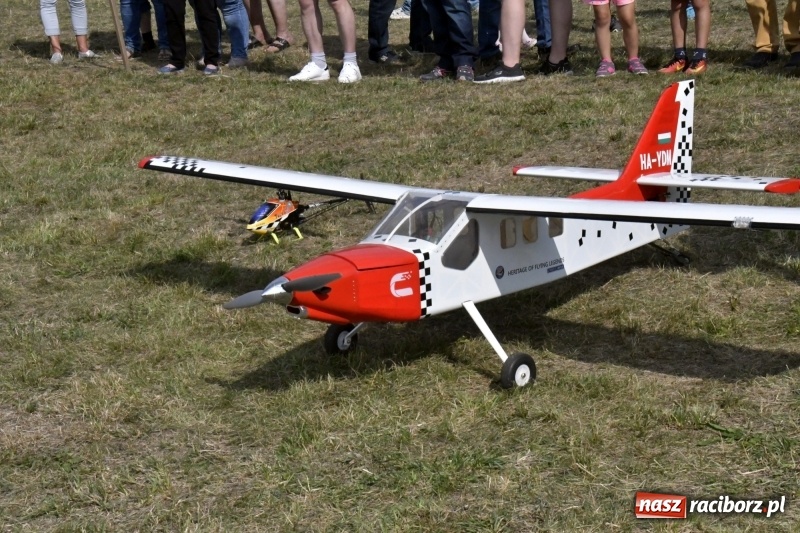 Zdjęcie w galerii na portalu naszraciborz.pl: XI Międzynarodowy Raciborski Piknik Modelarski zgomadził nad Ulgą tłumy. FOTO i WIDEO wiadomości z regionu