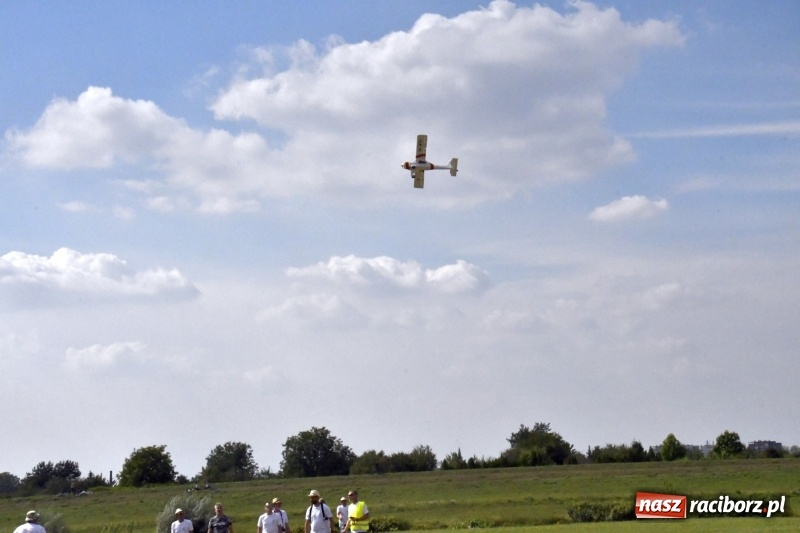 Zdjęcie w galerii na portalu naszraciborz.pl: XI Międzynarodowy Raciborski Piknik Modelarski zgomadził nad Ulgą tłumy. FOTO i WIDEO wiadomości z regionu