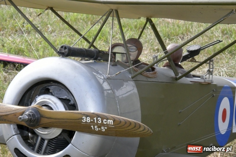Zdjęcie w galerii na portalu naszraciborz.pl: XI Międzynarodowy Raciborski Piknik Modelarski zgomadził nad Ulgą tłumy. FOTO i WIDEO wiadomości z regionu