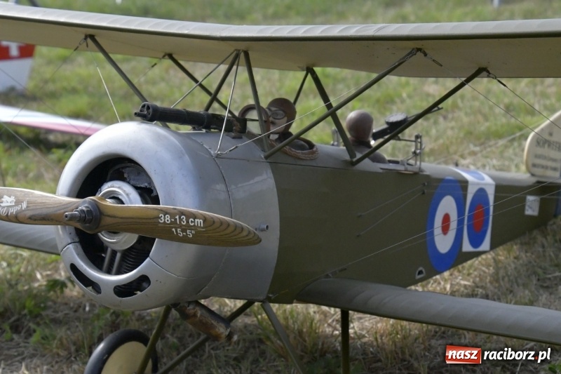 Zdjęcie w galerii na portalu naszraciborz.pl: XI Międzynarodowy Raciborski Piknik Modelarski zgomadził nad Ulgą tłumy. FOTO i WIDEO wiadomości z regionu