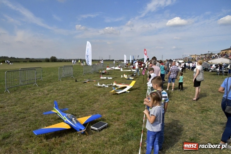 Zdjęcie w galerii na portalu naszraciborz.pl: XI Międzynarodowy Raciborski Piknik Modelarski zgomadził nad Ulgą tłumy. FOTO i WIDEO wiadomości z regionu