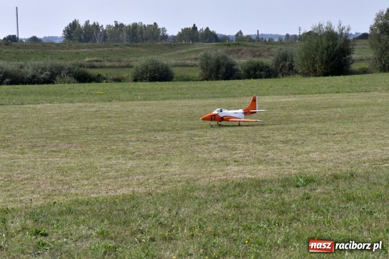 Zdjęcie w galerii na portalu naszraciborz.pl: XI Międzynarodowy Raciborski Piknik Modelarski zgomadził nad Ulgą tłumy. FOTO i WIDEO wiadomości z regionu