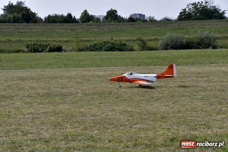 Zdjęcie w galerii na portalu naszraciborz.pl: XI Międzynarodowy Raciborski Piknik Modelarski zgomadził nad Ulgą tłumy. FOTO i WIDEO wiadomości z regionu