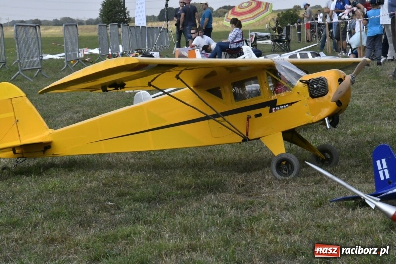 Zdjęcie w galerii na portalu naszraciborz.pl: XI Międzynarodowy Raciborski Piknik Modelarski zgomadził nad Ulgą tłumy. FOTO i WIDEO wiadomości z regionu