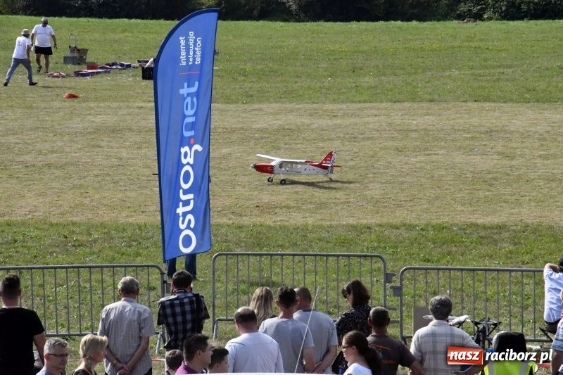 Zdjęcie w galerii na portalu naszraciborz.pl: XI Międzynarodowy Raciborski Piknik Modelarski zgomadził nad Ulgą tłumy. FOTO i WIDEO wiadomości z regionu