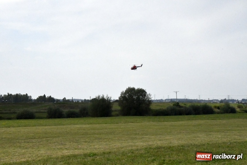 Zdjęcie w galerii na portalu naszraciborz.pl: XI Międzynarodowy Raciborski Piknik Modelarski zgomadził nad Ulgą tłumy. FOTO i WIDEO wiadomości z regionu