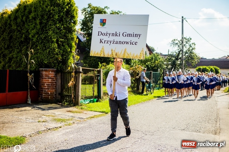 Zdjęcie w galerii na portalu naszraciborz.pl: Dożynki gminy Krzyżanowice. W Roszkowie jak na karnawale w Rio wiadomości z regionu