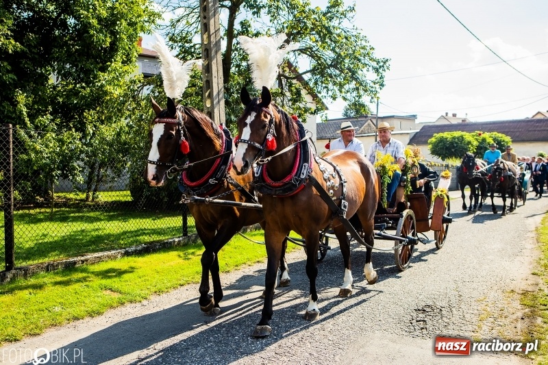 Zdjęcie w galerii na portalu naszraciborz.pl: Dożynki gminy Krzyżanowice. W Roszkowie jak na karnawale w Rio wiadomości z regionu