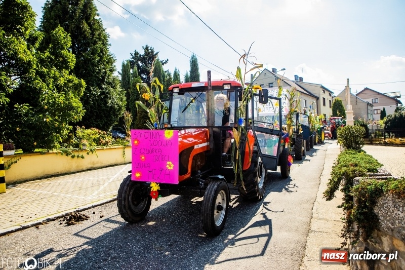 Zdjęcie w galerii na portalu naszraciborz.pl: Dożynki gminy Krzyżanowice. W Roszkowie jak na karnawale w Rio wiadomości z regionu