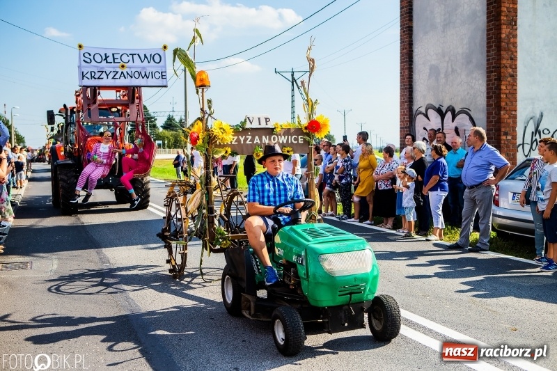 Zdjęcie w galerii na portalu naszraciborz.pl: Dożynki gminy Krzyżanowice. W Roszkowie jak na karnawale w Rio wiadomości z regionu