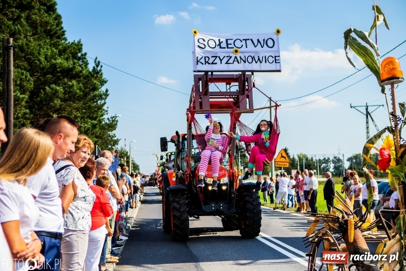 Zdjęcie w galerii na portalu naszraciborz.pl: Dożynki gminy Krzyżanowice. W Roszkowie jak na karnawale w Rio wiadomości z regionu