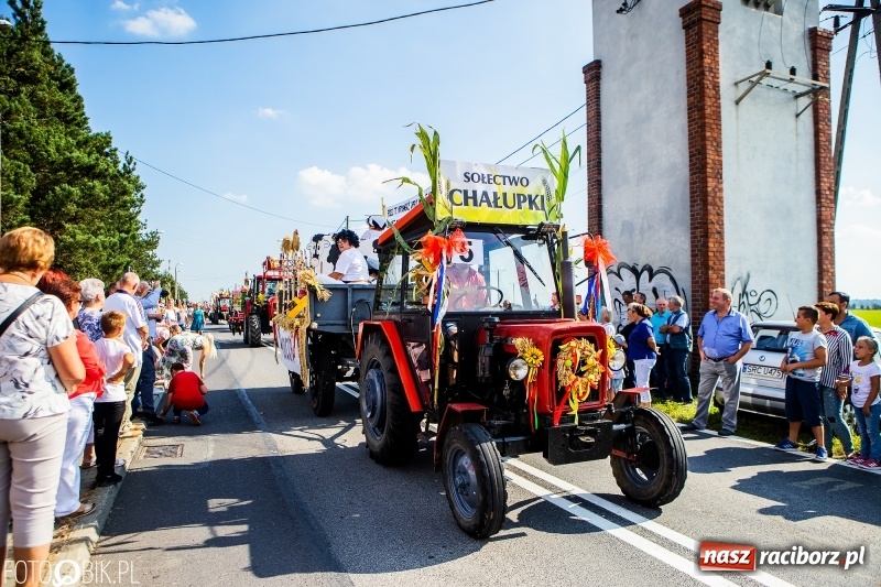 Zdjęcie w galerii na portalu naszraciborz.pl: Dożynki gminy Krzyżanowice. W Roszkowie jak na karnawale w Rio wiadomości z regionu