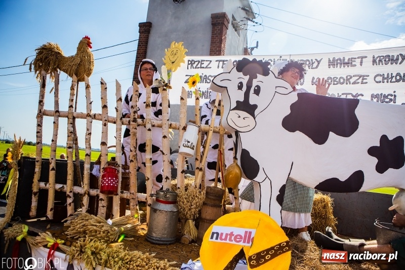 Zdjęcie w galerii na portalu naszraciborz.pl: Dożynki gminy Krzyżanowice. W Roszkowie jak na karnawale w Rio wiadomości z regionu
