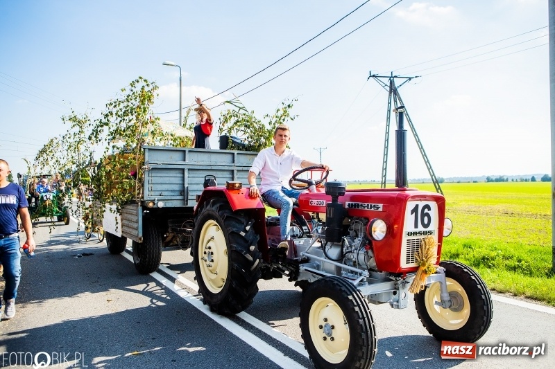 Zdjęcie w galerii na portalu naszraciborz.pl: Dożynki gminy Krzyżanowice. W Roszkowie jak na karnawale w Rio wiadomości z regionu