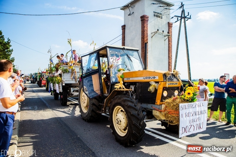 Zdjęcie w galerii na portalu naszraciborz.pl: Dożynki gminy Krzyżanowice. W Roszkowie jak na karnawale w Rio wiadomości z regionu