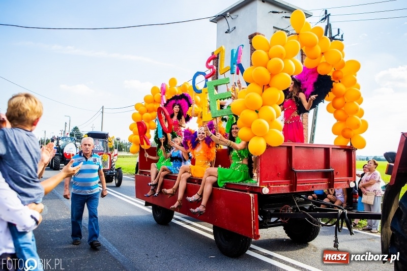 Zdjęcie w galerii na portalu naszraciborz.pl: Dożynki gminy Krzyżanowice. W Roszkowie jak na karnawale w Rio wiadomości z regionu