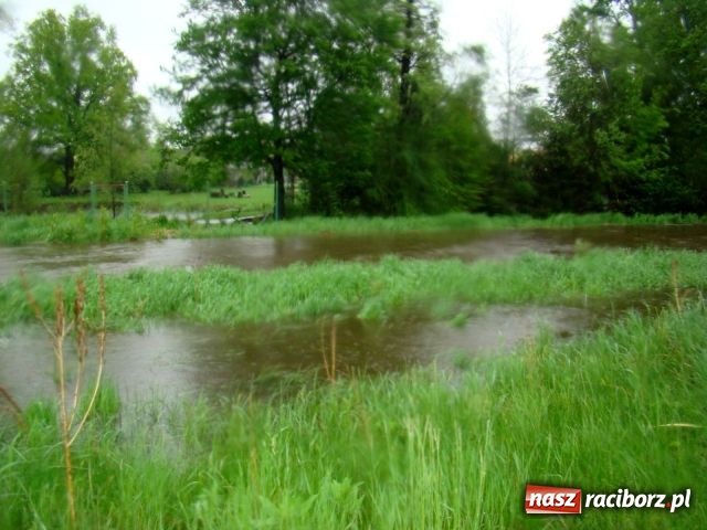 Zdjęcie w galerii na portalu naszraciborz.pl: Mieszkańcy zdenerwowani - Rybnik zalewa wiadomości z regionu