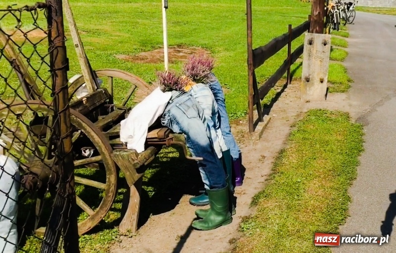 Zdjęcie w galerii na portalu naszraciborz.pl: Pomysłowe roszkowiki. Dożynkowy wystrój zagród  wiadomości z regionu
