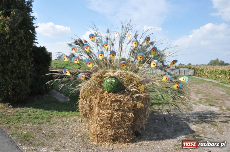 Zdjęcie w galerii na portalu naszraciborz.pl: Pomysłowe roszkowiki. Dożynkowy wystrój zagród  wiadomości z regionu